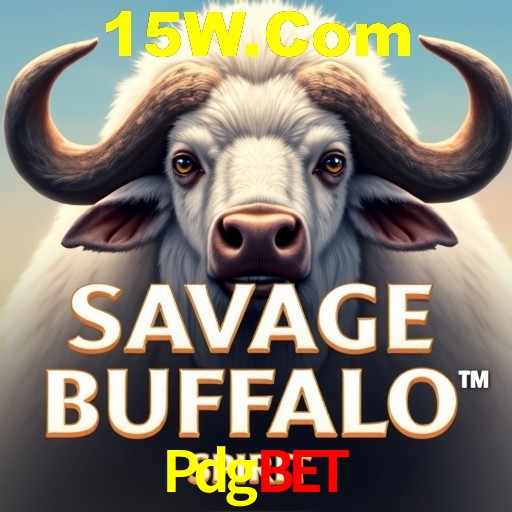 Interface do App Pdgbet